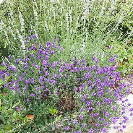 Am Spreeradweg In Apartment