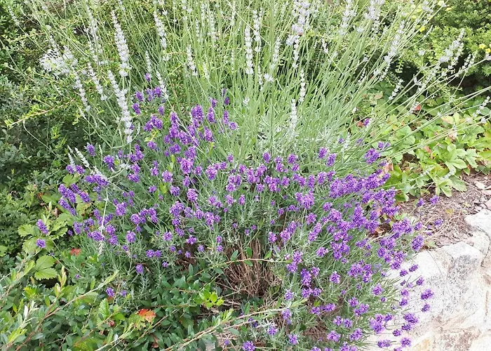 Am Spreeradweg In شقة